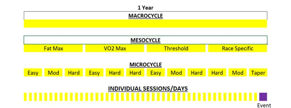 Chart showing an example training program split into macro, meso and microcycles